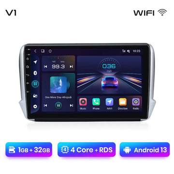 V1 (1GB-32GB)