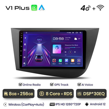 V1 Plus (8GB 256GB)