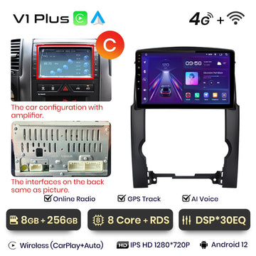 V1 Plus (8GB 256GB)C