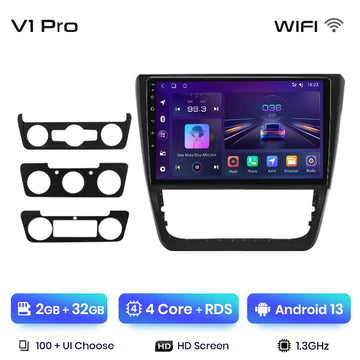 V1 Pro (2GB-32GB)
